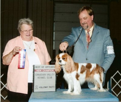 Ella become an AKC Champion